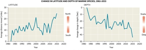 Science Literacy Use the following graphs to answer the next questions.   -What was the average distance moved in latitude for marine species in 2015? A) 45 feet B) 25 miles C) 10 feet D) 20 miles