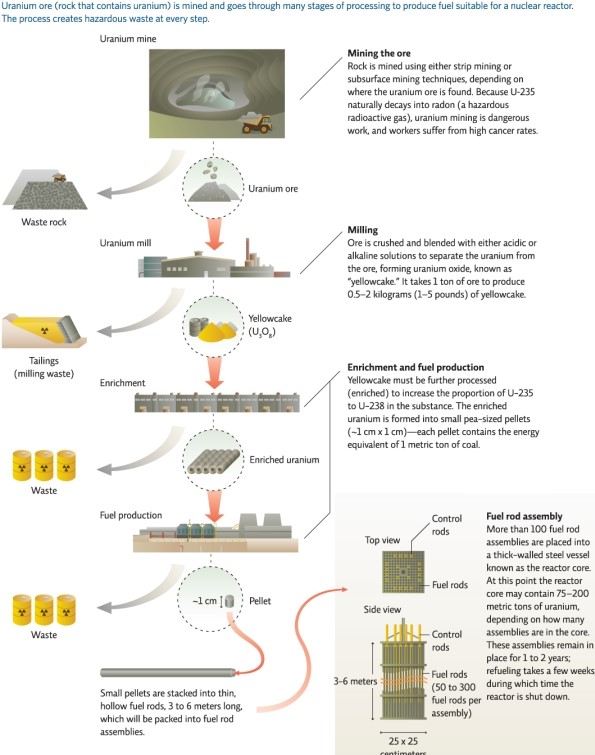 Refer to Infographic 2.Explain why the mining of uranium ore is hazardous for the miners.   