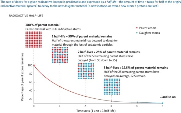 Refer to Infographic 5.If the half-life of a certain radioactive isotope is 5 years and 100 atoms of parent material exist in the original sample,how many parent atoms will be present in the sample after 10 years?   A) 100 B) 75 C) 50 D) 25 E) 0