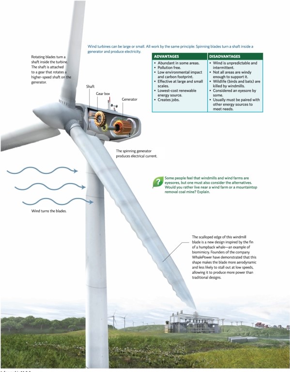 Refer to Infographic 3.What is the correct order of the steps used to generate electricity in a wind turbine? I.Rotating blades turn a shaft inside the turbine. II) A spinning generator produces electrical current. III) Wind turns turbine blades. IV) The shaft is attached to a higher-speed gear that turns the generator.   A) I,III,IV,II B) I,II,III,IV C) III,II,I,IV D) III,I,IV,II E) II,IV,I,III