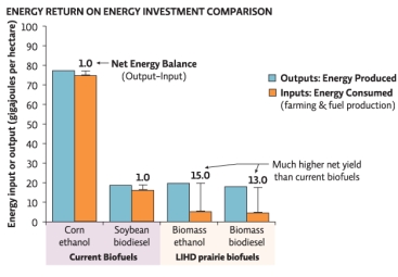 Refer to Infographic 4.Use the data from the energy return on energy investment comparison graph to determine which crop offers the highest net energy return (output - input) .   A) corn grain ethanol B) soybean biodiesel C) biomass combustion D) biomass ethanol E) biomass biodiesel