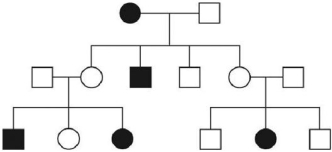 The accompanying figure is a pedigree of a fairly common human hereditary trait; the boxes represent males and the circles represent females.Filled in symbols indicate the abnormal phenotype.Given that one gene pair is involved,what is the inheritance pattern of the trait?   A)X- linked dominant B)X- linked recessive C)epistasis D)autosomal recessive E)autosomal dominant