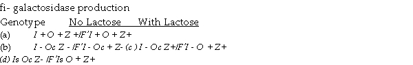The accompanying table lists several genotypes associated with the lac operon in E.coli.For each,indicate with a  +  or a  -  whether fi- galactosidase would be expected to be produced at induced levels.   I<sup>+ </sup>= wild- type repressor I<sup>- </sup>= mutant repressor unable to bind to the operator)I<sup>s </sup>= mutant repressor insensitive to lactose) O<sup>+ </sup>= wild- type operator O<sup>c </sup>= constitutive operator insensitive to repressor)