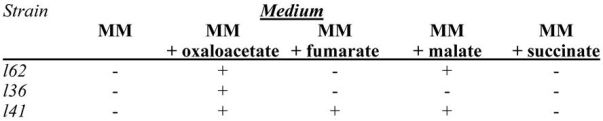 The problem below relates to the synthesis of several intermediates in the citric acid cycle,which is essential in the production of ATP through aerobic respiration.A set of experimental results relating the growth +)of Neurospora on several media is given in the table.Based on the information provided,present the biochemical pathway for the substances oxaloacetate,fumarate,malate,and succinate,and the locations of the metabolic blocks produced by the various strains.   