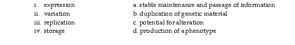 Match the function of DNA on the left with the appropriate description on the right.   Which of the choices below is correct? A) i = d; ii = b; iii = c; iv = a B) i = d; ii = c; iii = b; iv = a C) i = d; ii = b; iii = a; iv = c D) i = b; ii = d; iii = a; iv = c E) i = c; ii = a; iii = b; iv = d