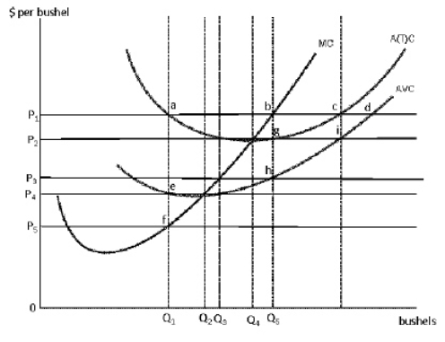 <strong>Figure 8-21   Consider Figure 8-21.If the market price is P<sub>3</sub>, which of the following best describes the long-run implications for the industry?</strong> A)Profit will attract new resources to the industry and drive the market price down. B)Profit will attract new resources to the industry and drive prices up. C)The lack of profit will lead to the maintenance of the status quo. D)Losses will drive resources from the industry and drive market price down. E)Losses will drive resources from the industry and drive market prices up. <div style=padding-top: 35px> 