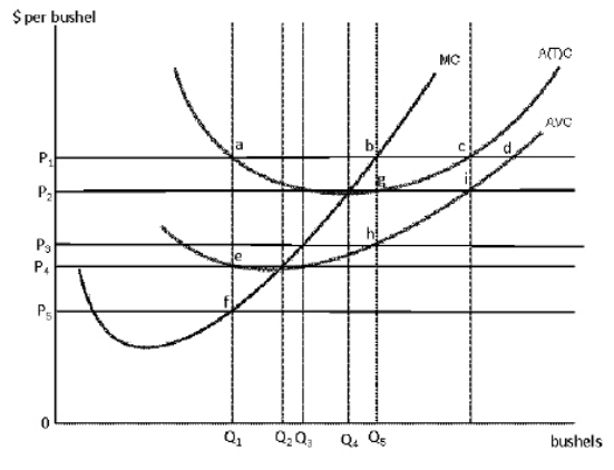 Exhibit 8-19 A Single Firm in a Perfectly Competitive Market   Consider Exhibit 8-19.When the market price is P<sub>2</sub>, which of the following most acurately reflects the firms short-run situation? A) The firm will choose to produce quantity Q<sub>4</sub> and earn exactly 0 profit B) The firm will choose to produce quantity Q<sub>4</sub> and earn a profit C) The firm will choose to produce quantity Q<sub>4</sub> and suffer a loss D) The firm will choose to produce quantity Q<sub>5</sub> and earn a profit > 0 E) The firm will choose to produce quantity Q<sub>5</sub> and earn exactly 0 profit