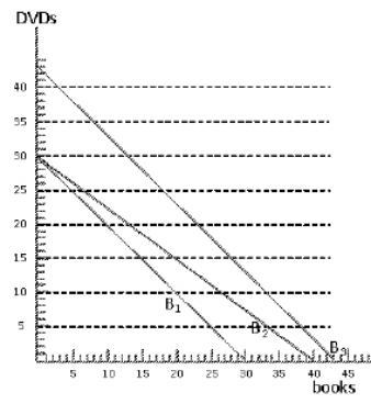 <strong>Exhibit 6-26   Consider Exhibit 6-26.Three budget lines are shown.Which of the following statements is true about the budget lines?</strong> A)Budget line B<sub>2</sub> reflects the same income and price for DVDs as budget line B<sub>1</sub> but a higher price for books. B)Budget line B<sub>3</sub> reflects a higher income but the same price for both books and DVDs as budget line B<sub>2</sub>. C)Budget line B<sub>3</sub> reflects higher income and the same prices for both books and DVDs as budget line B<sub>1</sub>. D)Budget line B<sub>1</sub> reflects lower income than budget line B<sub>2</sub>. E)Budget line B3 reflects a lower price ration than budget line B<sub>3</sub>. <div style=padding-top: 35px> 