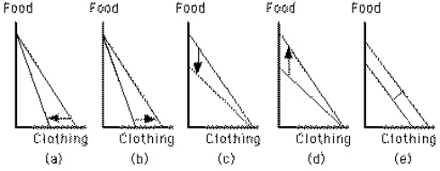 Exhibit 6-29   Which graph in Exhibit 6-29 shows the effect of an increase in the price of clothing and a decrease in the price of food? A) Graph a B) Graph b C) Graph c D) Graph d E) none of these