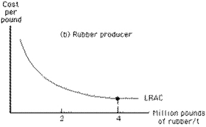 Exhibit 14-1     Which of the following is indicated in Exhibit 14-1? A) Rubber is cheaper to produce than tires. B) The total cost of producing 100, 000 tires is greater than the total cost of producing 200, 000 tires. C) The minimum efficient scale of producing rubber is 4 million pounds. D) The minimum efficient scale of producing tires is greater than 200, 000 tires. E) The marginal cost of the 200, 000th tire must exceed the average cost of 200, 000 tires.
