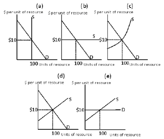 Exhibit 11-1   Condider Exibit 11-1.Each of the panels depict the supply and demand conditions in a resource market.In which of the panels will the resource earnings be entirely economic rent? A) panel (a)  B) panel (b)  C) panel (c)  D) panel (d)  E) panel (e) 