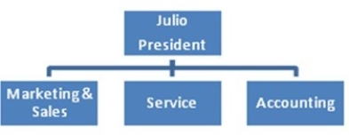 Julio is the owner of Party Pros, Inc., a party supply company. The company provides tents, tables, chairs, and related products for weddings, Bar and Bat Mitzvahs, graduations, birthdays, and other celebrations. As sales have increased, the organization has brought on more personnel and departmentalized to more efficiently handle purchasing, sales, service, and accounting. Everyone is still responsible for achieving company goals. Upon seeing Celebration's organization chart, you agree it uses a   A)  line organization model. B)  line-and-staff organization model. C)  matrix organization model. D)  cross-functional team organization model.