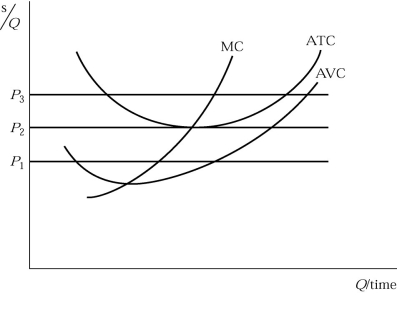   Figure 6.6 -In Figure 6.6 if price is P₃ then the industry will A)  expand. B)  contract. C)  stay the same size. D)  cease to exist.