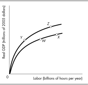   -The country of Kemper is on its aggregate production function at point W in the above figure. The government of Kemper passes a law that makes 4 years of college mandatory for all citizens. After all citizens have their education, the economy will A)  remain at point W. B)  move to point such as Y. C)  move to point such as X. D)  move to point such as Z.