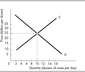   -In the above figure, a price of $35 per dozen would result in A)  a surplus. B)  upward pressure on prices. C)  a shortage. D)  equilibrium.