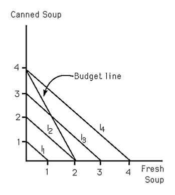   -Keith is indifferent between canned soup and fresh soup.In the figure above,Keith's indifference curves are represented by I1,I2,I3,and I4 curves.Canned soup sells for $1 per serving and fresh soup sells for $2 per serving.What is Keith's income? A)  $8 B)  $4 C)  $2 D)  $5