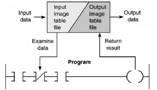 For the scan process shown, the input data is provided by the:   A) ladder program. B) output module. C) input module. D) All of these choices are correct