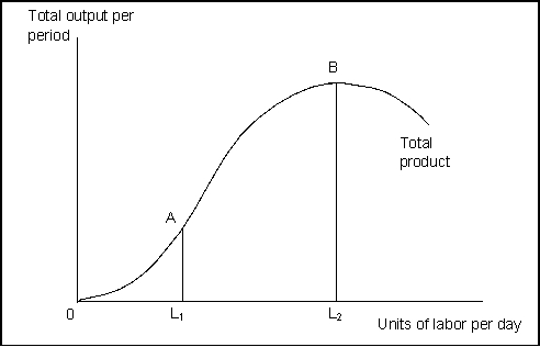 Use the following for questions 37-43. Exhibit: Total Product    -(Exhibit: Total Product)  Between points A and B, which of the following is (are)  true? A)  Total product is going down. B)  The marginal product of labor is rising. C)  The marginal product of labor is falling. D)  Only A and C are true.