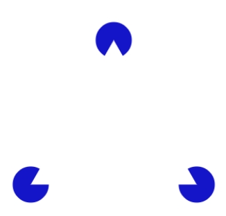 What does this figure show?   A) a Necker triangle B) an illusory pacman C) a Kanisza triangle D) a Kohler figure