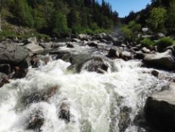 <strong>In the following photograph, what is likely to be seen as foreground and why? </strong> A)the rocks, because they are visible through the water B)the trees, because they are easily recognized objects C)the cascading water, because it is at the bottom of the image D)the sky, because it is the brightest element