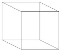 What is TRUE about the Necker cube shown below?   A) The Necker cube is an example of the principle of prosopagnosia. B) The Necker cube can be seen in one of two orientations. C) The Necker cube demonstrates the gestalt principle of interactivity. D) The Necker cube illustrates edge completion.