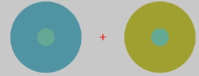 In the figure below, the two inner circles are identical physically.That the surroundings make them appear to have different colors is an example of ______.   A) hue cancellation B) spectral reflectance C) simultaneous color contrast D) afterimage detection