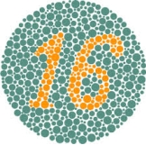 This image is known as a ______ and it serves to determine if a person is ______.   A) Ishihara plate; color deficient B) Ishihara plate; rod monochromat C) Hering image; color deficient D) Hering image; rod monochromat