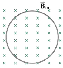 A circular loop is suspended in a uniform magnetic field as shown in the figure.   ​ If the loop area increases,what affect does this have on the induced current? A) The induced current is clockwise. B) The induced current is counterclockwise. C) There is no induced current. D) We would need to know the magnitude of the magnetic field.