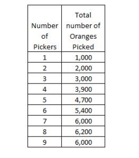 The table below shows the number of oranges picked by different pickers. Based on the table, the total output of labor diminishes with the addition of the _____ picker.Table 6-2   ​ A) fifth B) seventh C) eighth D) ninth​ E) fourth