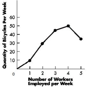 The figure below shows how the quantity of bicycles produced per week varies with the number of workers employed per week. Based on the figure, marginal product diminishes when the _____ is hiredFigure 6-1   A) first worker B) second worker C) third worker D) fourth worker E) fifth worker