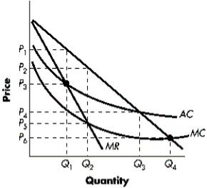 The figure below contains information on the cost and revenue curves facing a regulated monopoly. Based on the figure, if the government is able to regulate the monopolist using average cost pricing, the price and output combination will be _____.Figure 8-8   A) P<sub>5</sub> and Q<sub>2</sub> B) P<sub>2</sub> and Q<sub>2</sub> C) P<sub>4</sub> and Q<sub>3</sub> D) P<sub>6</sub> and Q<sub>4</sub> E) P<sub>3</sub> and Q<sub>1</sub>