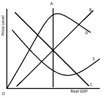 Figure 13-3 shows the relationship between real GDP and the price level in an economy. In the figure, _____ represents long-run aggregate supply?Figure 13-3   A) curve A B) curve B C) curve C D) curve D E) curve E