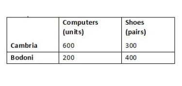 The table below shows the maximum possible combinations of computers and shoes that each of Cambria and Bodoni can produce. Suppose the data in the table is converted into production possibilities curves with constant opportunity costs for both the countries. The number of computers produced is measured along the vertical axis, and the pairs of shoes produced is measured along the horizontal axis. Which of the following is true in such a case?Table 18.1:   A) The slope of Cambria's production possibilities curve equals 2, and the slope of Bodoni's production possibilities curve equals 1/2. B) The slope of Cambria's production possibilities curve equals −1/2, and the slope of Bodoni's production possibilities curve equals −2. C) The slope of Cambria's production possibilities curve equals 1/2, and the slope of Bodoni's production possibilities curve equals 2. D) The slope of Cambria's production possibilities curve equals −2, and the slope of Bodoni's production possibilities curve equals −1/2. E) The slope of Cambria's production possibilities curve equals 1/3, and the slope of Bodoni's production possibilities curve equals 3.