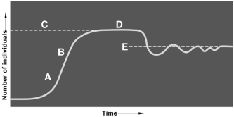 Questions refer to the figure above illustrating logistic growth.    -The effect of population growth limiting factors begin to become evident at about A) A. B) B. C) C. D) D. E) E.