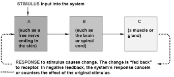 Use the figure above to answer questions     -In this diagram of a negative feedback system, what labeled box represents a receptor? A) A B) B C) C D) A and C E) All of these