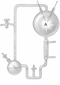 Who demonstrated the possibility of producing organic compounds from gases and water if the mixture is exposed to energy? A) Stanley Miller B) Thomas Brock   C) Australian researchers D) Jeon Kwang E) Lynn Margulis