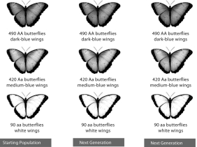 Whether a mutation is ultimately considered harmful, neutral, or lethal is often determined by   A) phenotype. B) the will of the individual. C) the Hardy-Weinberg formula. D) environment. E) fate.