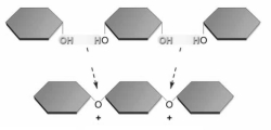 The figure below illustrates a __________ reaction that produces a __________.   A) condensation; hydroxyls; polymer B) condensation; water molecule C) cleavage; water molecules; monomer D) rearrangement; water molecules; polymer E) rearrangement; hydrogen ions; polymer