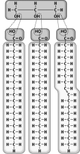 _____ are long-chain fatty acids attached to long-chain alcohols.   A) Triglycerides B) Phospholipids C) Sterols D) Waxes E) Most neutral fats