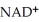 Which coenzyme is reduced in the following reaction? OH O -   - → -   -   A) FAD B)    C) CoQ D) NADH E)   