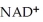 In the third reaction of the citric acid cycle,   is converted to ________. A) NA   B) NA   C) NAD   D) NAD E) NADH