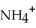 In a(n) ________ reaction,   is produced when glutamate is converted to α-ketoglutarate. A) dehydrogenation B) transamination C) oxidative deamination D) reduction E) hydration