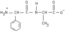 Circle the peptide bond in this structure.  