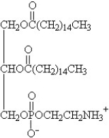 The components in the following glycerophospholipid are ________.   A) sphingosine,palmitic acid,phosphate,and choline B) sphingosine,palmitic acid,phosphate,and serine C) glycerol,palmitic acid,phosphate,and ethanolamine D) glycerol,palmitic acid,phosphate,and galactose E) sphingosine,palmitic acid,phosphate,and ethanolamine