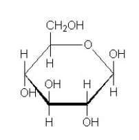 The form of glucose is the ________ isomer.   A) alpha B) beta C) delta D) second E) keto