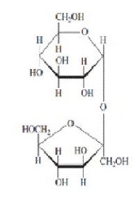 Refer to the disaccharide below to answer the following question(s) .   -Hydrolysis of the disaccharide above gives the monosaccharides ________. A) fructose and ribose B) fructose and galactose C) ribose and glucose D) ribose and galactose E) fructose and lactose