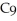 Which of the following is true of nonane,     ,which has a density of 0.79 g/mL,melts at -51 °C,and boils at 151 °C? A) Nonane is soluble in water. B) Nonane is a gas at room temperature. C) Nonane is a solid at room temperature. D) Nonane does not undergo combustion. E) Nonane floats on the surface of water.