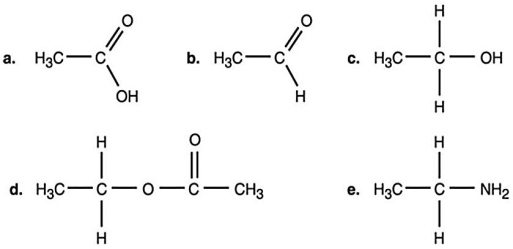 Figure 2.1    -In Figure 2.1,which is an alcohol? A) a B) b C) c D) d E) e