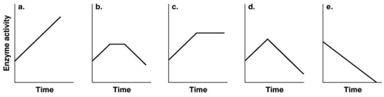 Figure 5.5   -Which of the graphs in Figure 5.5 best illustrates the activity of an enzyme that is saturated with substrate? A) a B) b C) c D) d E) e