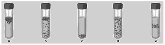 Figure 6.3    -In Figure 6.3,which tube shows the expected growth pattern for a microaerophile? A) a B) b C) c D) d E) e